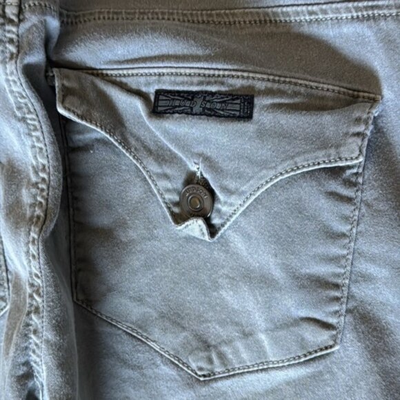 Hudson Jean 24 Dark Tan Skinny Pants - Picture 9 of 11